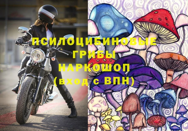 прущая мука Беломорск