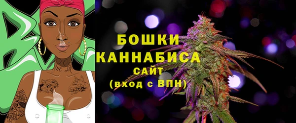 Альфа ПВП Белокуриха