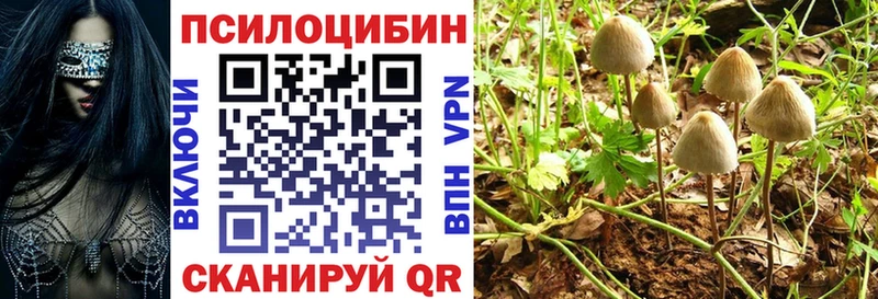 кракен онион  где продают наркотики  Вяземский  Псилоцибиновые грибы Psilocybe 